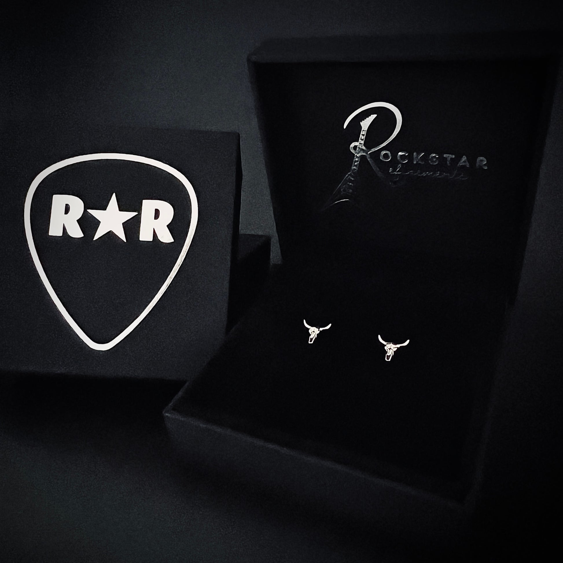 BULL-HEADED bull skull sterling silver earrings by ROCKSTAR★REFINEMENTS™ photographed in branded jewellery box 