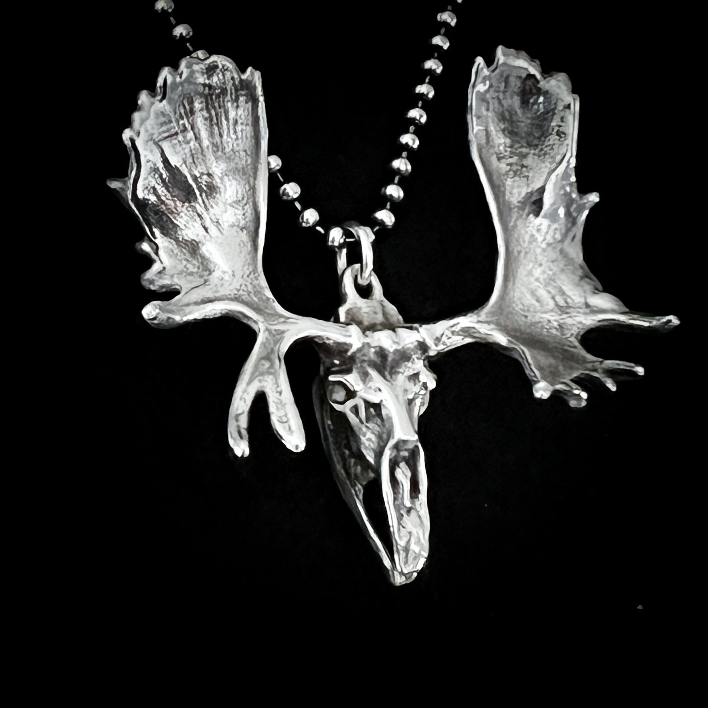 FULL METAL MOOSE — sterling silver moose head skull, photographed close-ip, against a black background by ROCKSTAR★REFINEMENTS