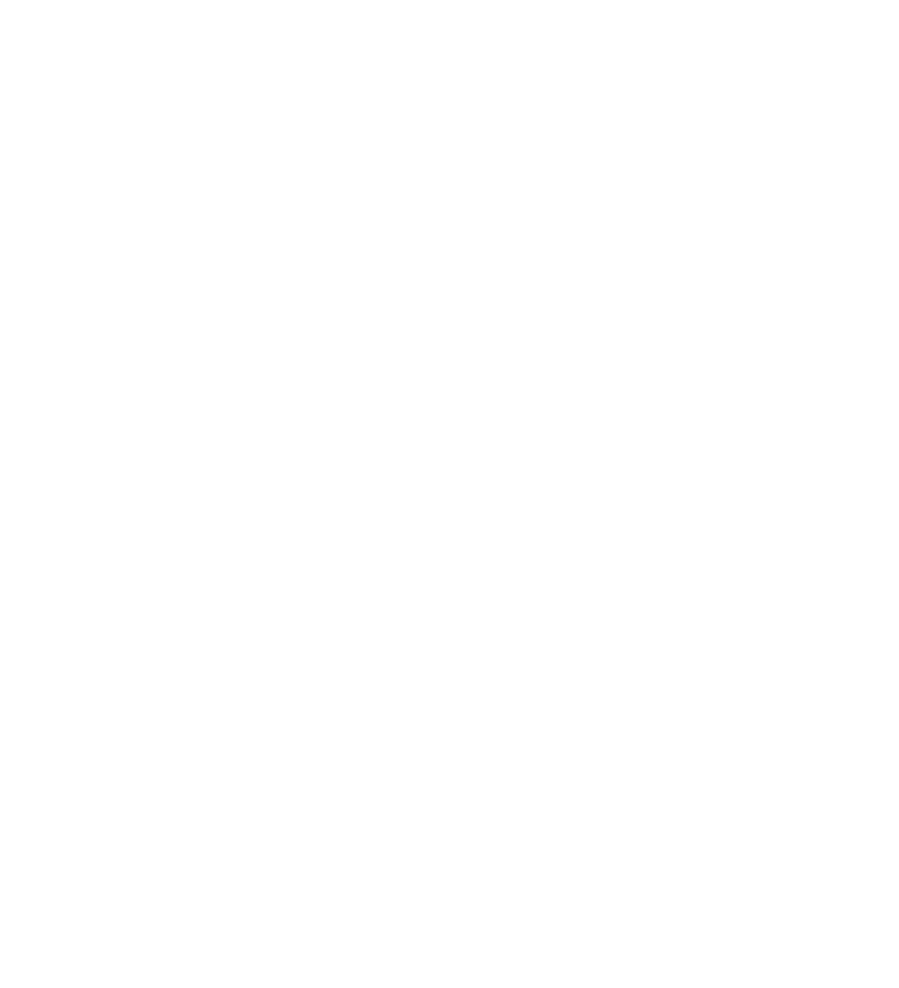  ROCKSTAR★REFINEMENTS
guitar pick logo